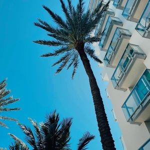 Meet your Posher, Alix